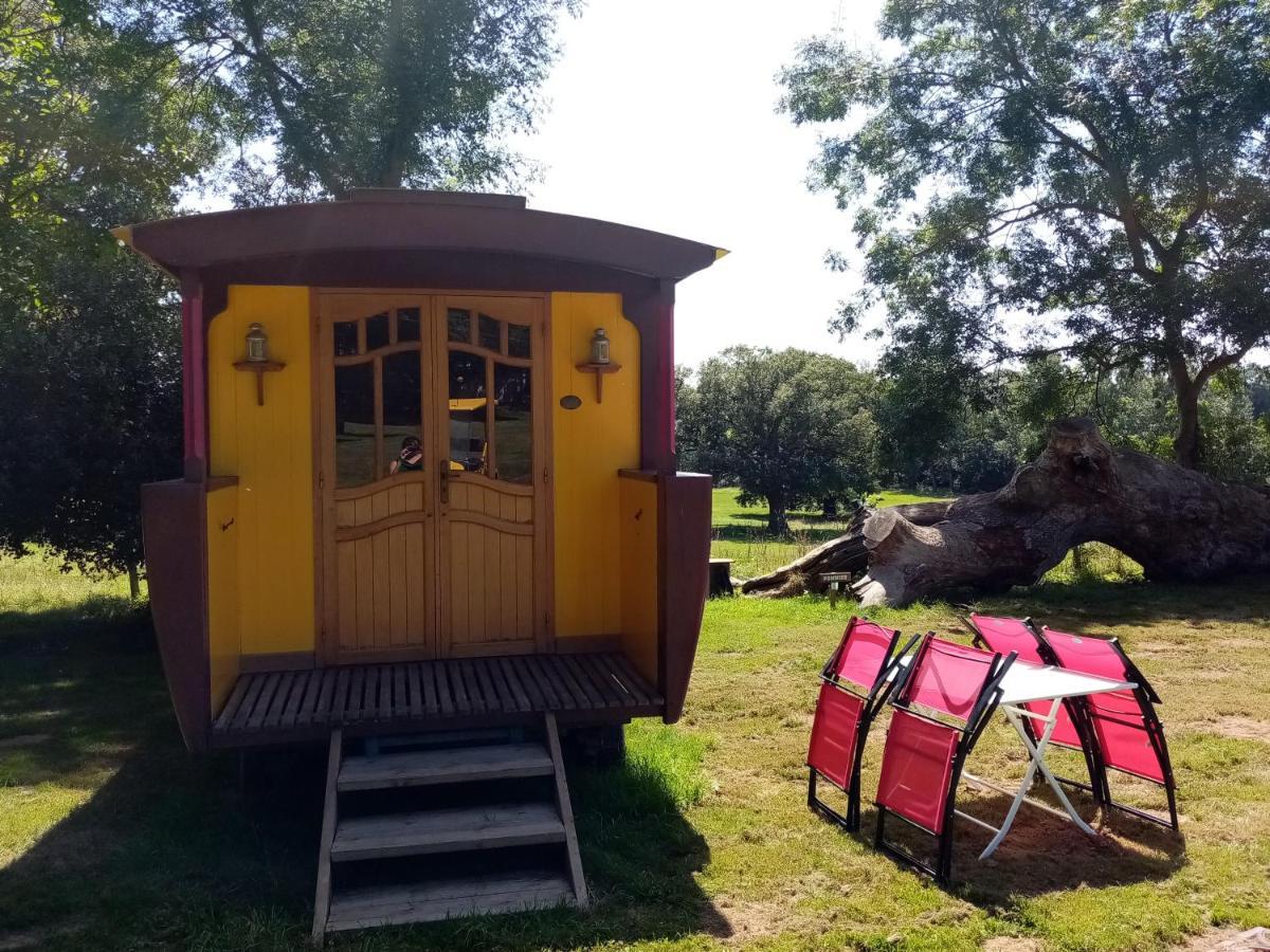 מלון La Chapelle-Achard Camping La Bergerie מראה חיצוני תמונה
